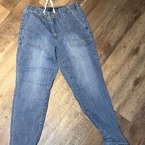 Judy Blue jogger jeans